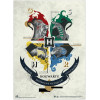 Harry Potter - Set Of 2 Wall Posters (38 x 52 cm) - (SETMP008)