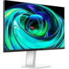TCL Mini Led Monitor - (24G54)