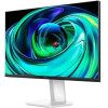 TCL Mini Led Monitor - (24G54)