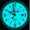 TIMEX Expedition Indiglo - T49990