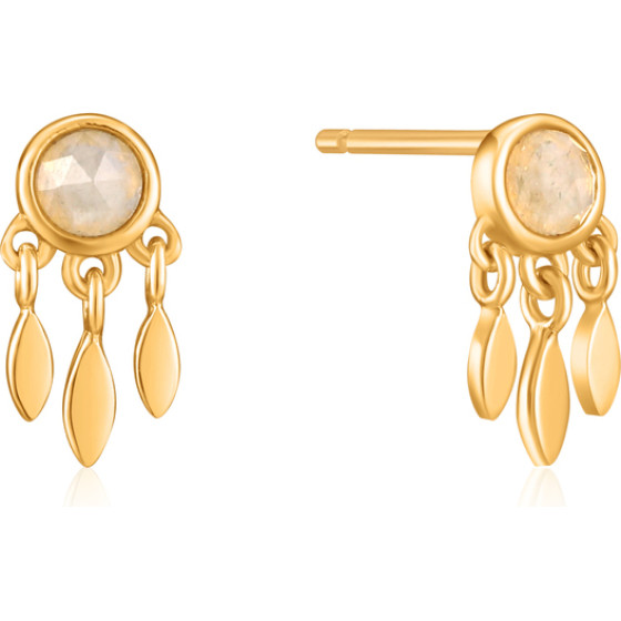 Ania Haie Earrings Women (1CM ) - (E026-06G)