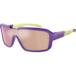 ARNETTE Sunglasses Man (Lens/Bridge/Temple) 132/00/125 mm) - (AN4335-29377J)