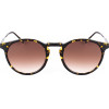 BELSTAFF Sunglasses Unisex (Lens/Bridge/Temple) 48/21/145 mm) - (BROOKLANDS035)
