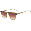 BELSTAFF Sunglasses Unisex (Lens/Bridge/Temple) 48/23/148 mm) - (BROOKLANDS031)