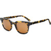 BELSTAFF Sunglasses Women (Lens/Bridge/Temple) 48/23/148 mm) - (BOORMAN-S030)