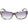 BELSTAFF Sunglasses Women (Lens/Bridge/Temple) 55/15/145 mm) - (CROSBY-S197)