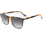 BELSTAFF Sunglasses Women (Lens/Bridge/Temple) 55/17/150 mm) - (MERIIANIS16)