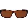 Champion Sunglasses Man (Lens/Bridge/Temple) 63/15/125 mm) - (CU5146-63C03)