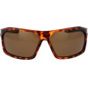 Champion Sunglasses Man (Lens/Bridge/Temple) 70/12/135 mm) - (CU5155-65C03)