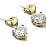 Chiara Ferragni Earrings Women (1,8CM ) - (J19AWD04)