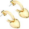 Chiara Ferragni Earrings Women (2.5CM ) - (J19AXP06)
