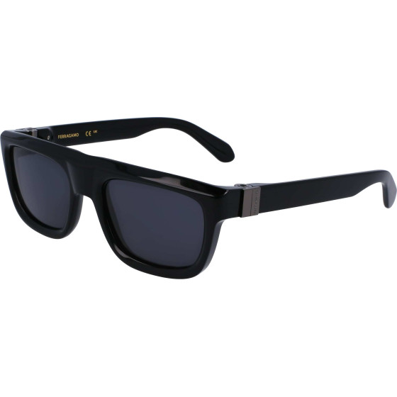 FERRAGAMO Sunglasses Man (Lens/Bridge/Temple) 56/21/145 mm) - (SF2009S-001)