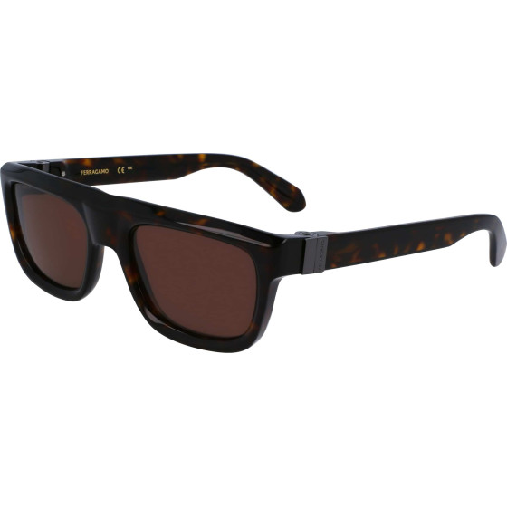FERRAGAMO Sunglasses Man (Lens/Bridge/Temple) 56/21/145 mm) - (SF2009S-242)