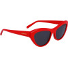 FERRAGAMO Sunglasses Women (Lens/Bridge/Temple) 55/17/140 mm) - (SF1103S551760)