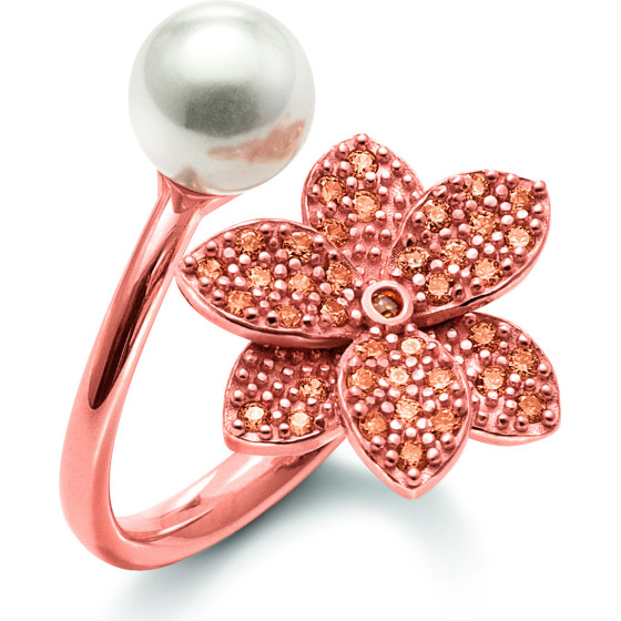 Folli Follie Ring Woman (52 ) - (3R19S150RSW52)