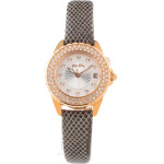 Folli Follie Watch Woman (30MM) - (WF1B006STM)