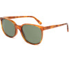 LGR Sunglasses Unisex (Lens/Bridge/Temple) 50/19/145 mm) - (SPRINGHAVAN02)