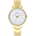 RADIANT Watch Women (38MM) - (RA578202)