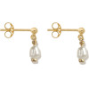ROSEFIELD Earrings Women (2CM ) - (JTSPG-J427)