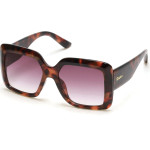 SKECHERS Sunglasses Women (Lens/Bridge/Temple) 60/13/145 mm) - (SE6222-5552F)