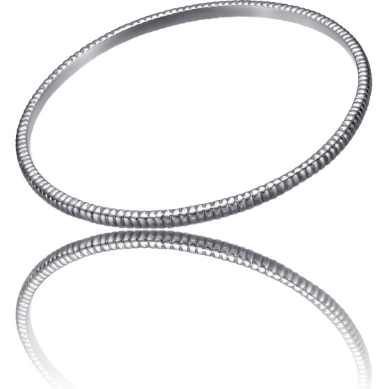 Time Force Bracelet Woman ( ) - (TS5124BS)