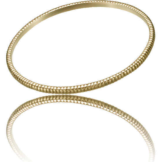 Time Force Bracelet Woman ( ) - (TS5124BY)