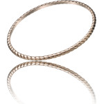 Time Force Bracelet Woman ( ) - (TS5126BR)