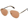Tous Sunglasses Women (Lens/Bridge/Temple) 56/16/135 mm) - (STO437-560300)