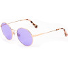 Web Eyewear Sunglasses Woman (Lens/Bridge/Temple) 49/15/145 mm) - (WE0254-33Y)