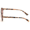 Web Eyewear Sunglasses Woman (Lens/Bridge/Temple) 51/19/140 mm) - (WE0266-5155S)