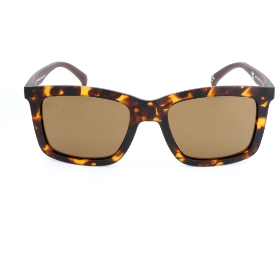 ADIDAS Sunglasses Man (Lens/Bridge/Temple) 53/20/140 mm) - (AOR015-148009)