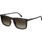 Carrera Sunglasses Unisex (Lens/Bridge/Temple) 55/18/145 mm) - (231-S-086-HA)