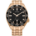 CITIZEN Watch Man (42MM) - (AW1773-55E)