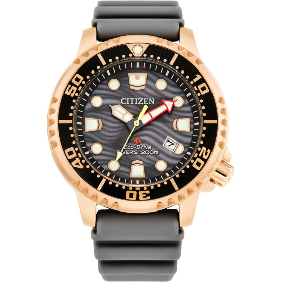 CITIZEN Watch Man (44MM) - (BN0163-00H)