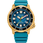 CITIZEN Watch Man (44MM) - (BN0162-02X)