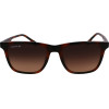 LACOSTE Sunglasses Man (Lens/Bridge/Temple) 54/18/145 mm) - (L6041S-214)