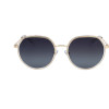 Polaroid Sunglasses Unisex (Lens/Bridge/Temple) 55/19/145 mm) - (PLD4160GSXJ5G)