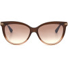 Jimmy Choo Sunglasses Women (Lens/Bridge/Temple) 56/16/145 mm) - (AXELLEGS0MYNQ)