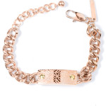 POLICE Bracelet Man (20CM ) - (PJ25590BSRG03)