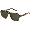 POLICE Sunglasses Man (Lens/Bridge/Temple) 56/17/145 mm) - (SPLL83-56AGGY)