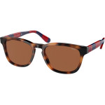 Ralph Lauren Sunglasses Man (Lens/Bridge/Temple) 53/18/145 mm) - (PH4170-530373)