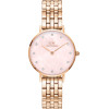 Daniel Wellington Watch Women (28MM) - (DW00100617)