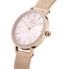 Daniel Wellington Watch Women (28MM) - (DW00100663)
