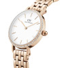 Daniel Wellington Watch Women (28MM) - (DW00100666)