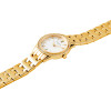 Pierre Cardin Watch Women (30MM) - (CF.0611.SE.G)