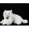 Rappa - Plush Realistic Mascot Persian Cat White Lying 30 Cm Eco-Friendly - (251212)