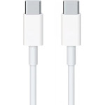 Google USB-C to USB-C Cable , 30W, 3A, 3m, White
