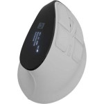 Natec Wireless Mouse Euphonie Pro Bt 5.0 4000 Dpi - (NMY-2378)