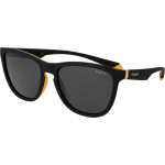 Polaroid Sunglasses Unisex (Lens/Bridge/Temple) 56/17/145 mm) - (PLD2133S5671C)