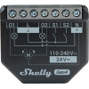 Shelly 2PM Gen4 Zigbee/Matter - (2PMGen4)